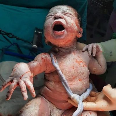 3ec552af-2d54-46a9-a635-f6e7452478e9