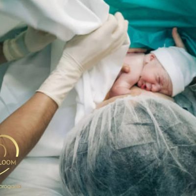 45ffb608-246d-4f80-909b-a57c84c3bce9