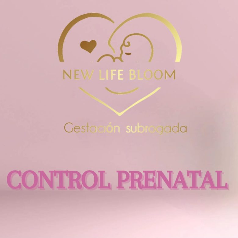 WhatsApp Image 2025-02-23 at 8.49.39 PM